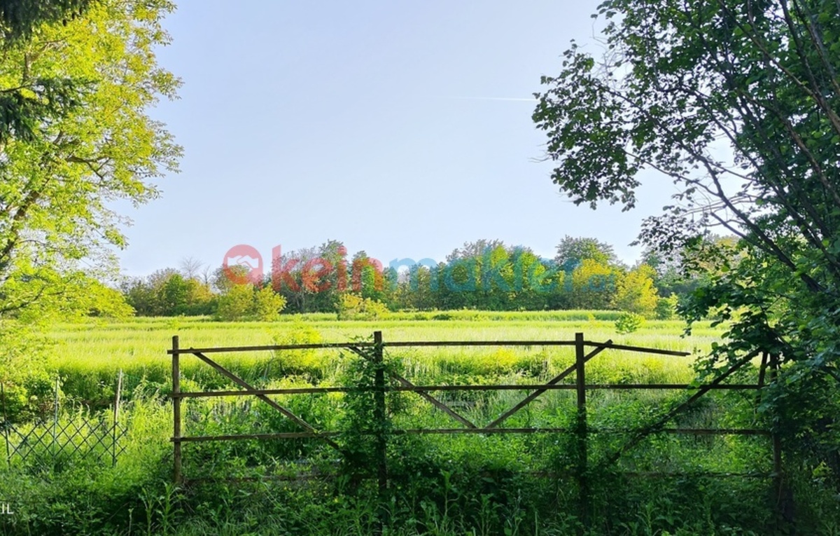 Wiesengasse 23, 3441 Judenau; ID:0