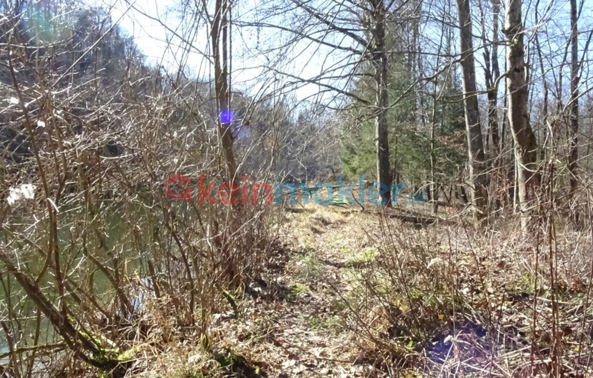 Attnang, Attnang-Puchheim, Österreich, 4800 Attnang-Puchheim; ID:0