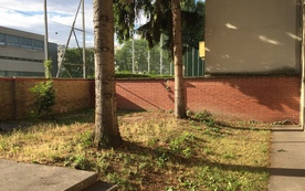 Kleinreifling, 4464 Weyer ID:0