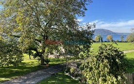 Alexenau, 4852 Weyregg am Attersee ID:0