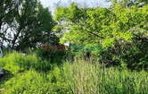 Wiesengasse 23, 3441 Judenau; ID:1