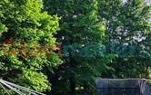 Wiesengasse 23, 3441 Judenau; ID:2