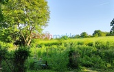 Wiesengasse 23, 3441 Judenau; ID:4