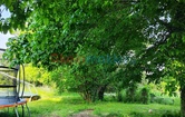 Wiesengasse 23, 3441 Judenau; ID:5