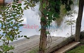 , 8543 Sankt Martin im Sulmtal; ID:10