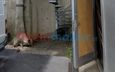 , 8543 Sankt Martin im Sulmtal; ID:18