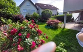 Kellerackerstraße, 6890 Lustenau; ID:2