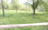 Neuhaus, 2565 Neuhaus; ID:4