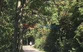Innerhoferstrasse, 8045 Graz; ID:25