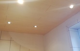 Gustav-Leutelt-Str.6, 4470 Enns; ID:10