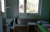 Gustav-Leutelt-Str.6, 4470 Enns; ID:11