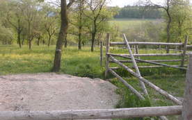 Neuhaus, 2565 Neuhaus ID:0