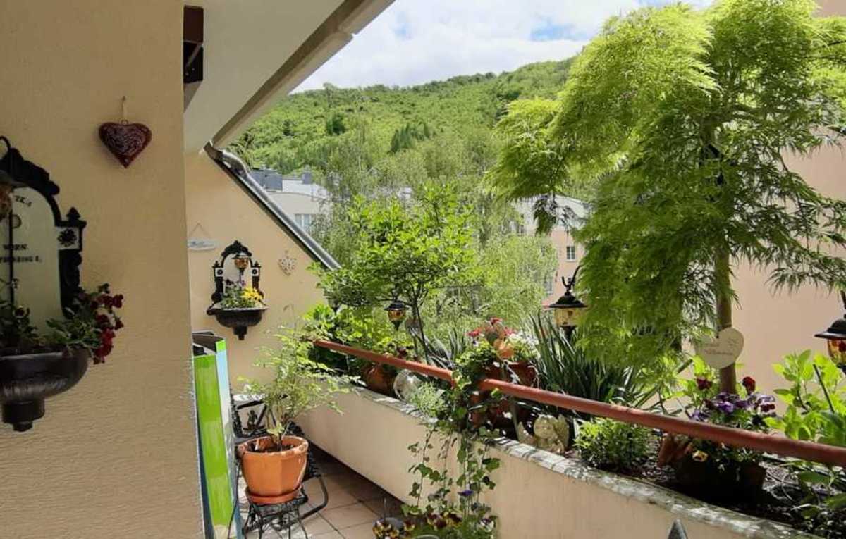 Single wohnung purkersdorf