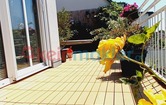 Mannswörtherstraße, 2320 Mannswörth; ID:14