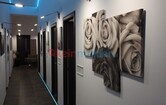 Absberggasse, 1100 Wien; ID:4