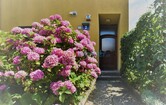 Brachelligasse, 1220 Wien; ID:4