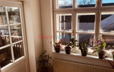 Amtsstraße 28, 1210 Wien; ID:9