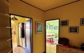 Ruhige geräumige Terrassenwohnung, 3232 Bischofstetten; ID:6