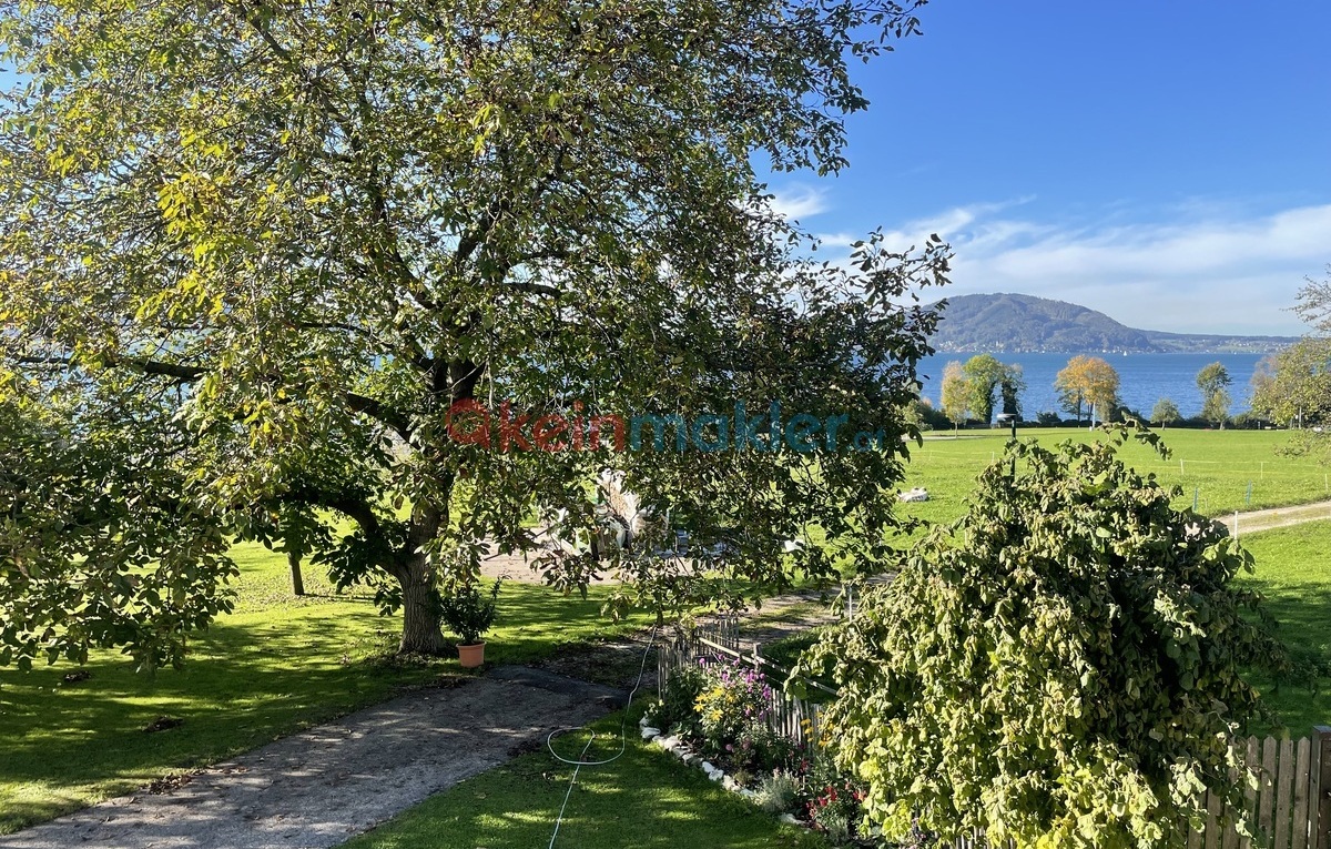 Alexenau, 4852 Weyregg am Attersee; ID:0