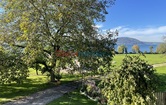 Alexenau, 4852 Weyregg am Attersee; ID:0