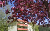 Hauptstraße 15, 2763 Pernitz; ID:4
