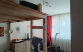 Hans-Feichtlbauer-Straße 6, 4770 Andorf; ID:8