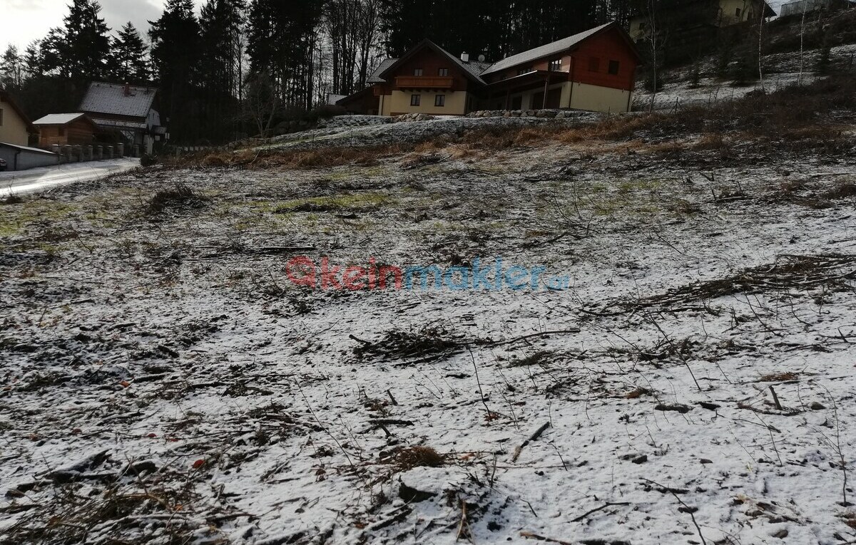 Bergstr. 36, 3153 Rotheau; ID:0